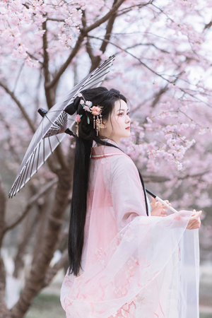 两生花电视剧全部