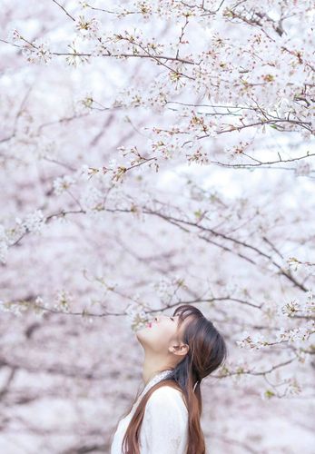 韩国潜规33部在线观看播放