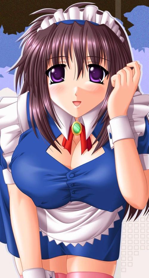 日皮大王