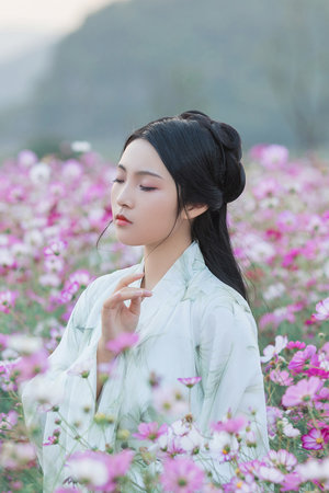 小狐狸视频