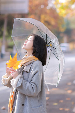 池焰电子版