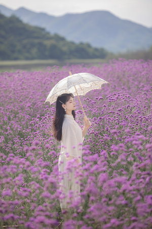 含羞草完整视频在线播放免费