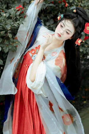电视剧涛女郎