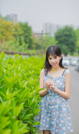 藏獒多吉动画片