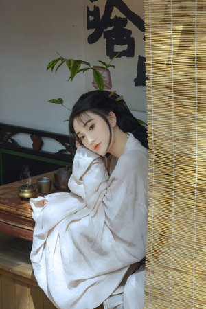 女帝的后宫